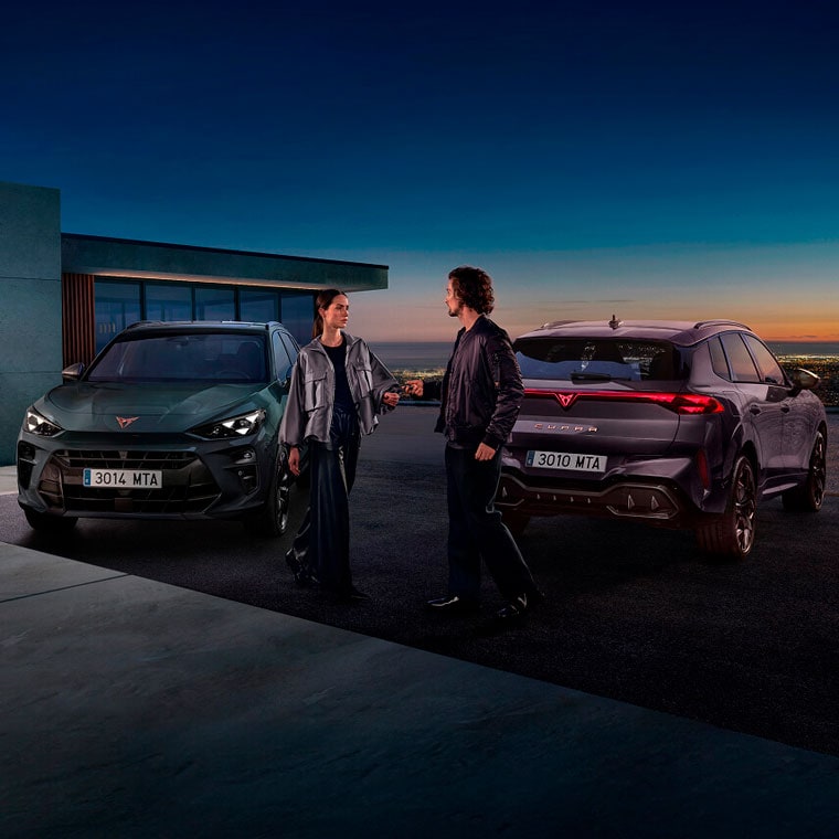 Edasimüüjad ja hooldus